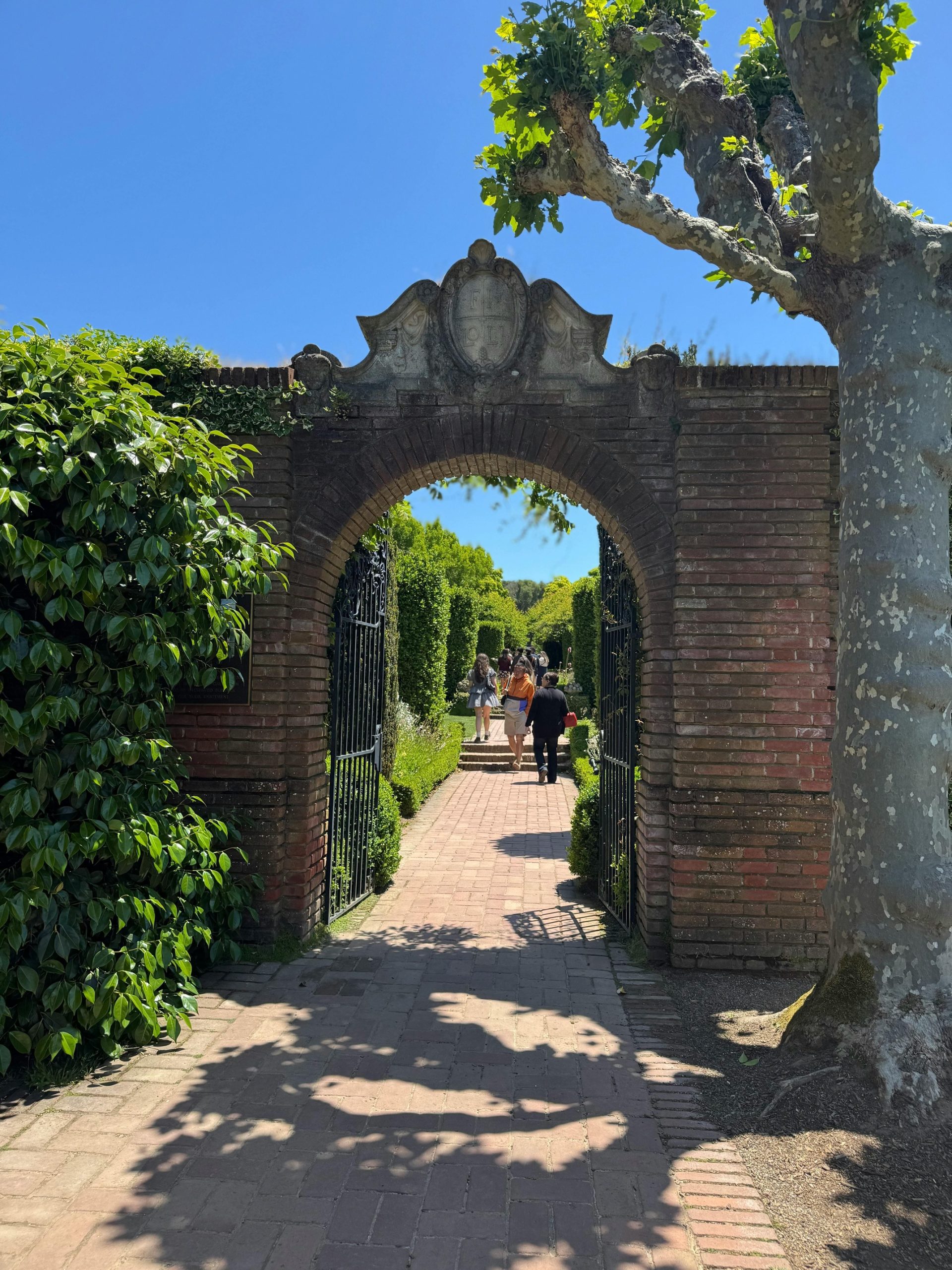arche du mas